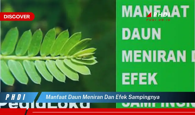 manfaat daun meniran dan efek sampingnya