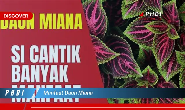 manfaat daun miana