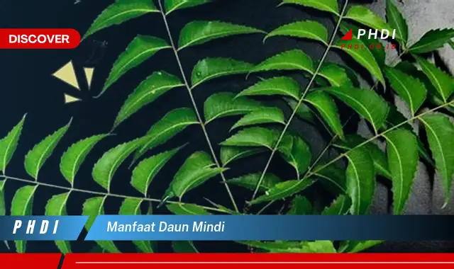 manfaat daun mindi