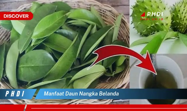 manfaat daun nangka belanda