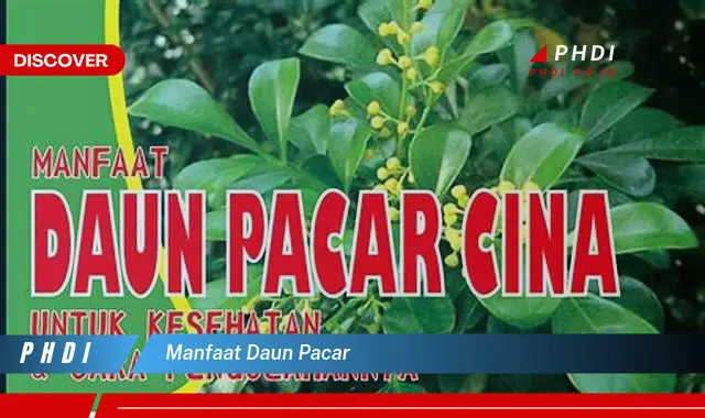 manfaat daun pacar