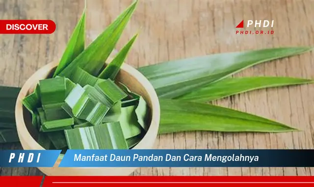 manfaat daun pandan dan cara mengolahnya