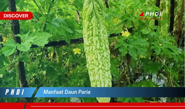 manfaat daun paria