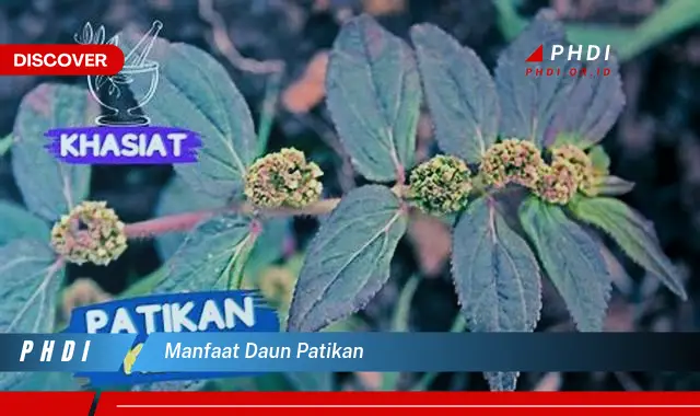 manfaat daun patikan