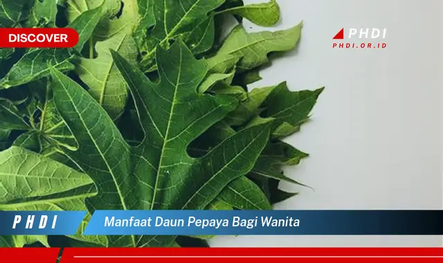 manfaat daun pepaya bagi wanita