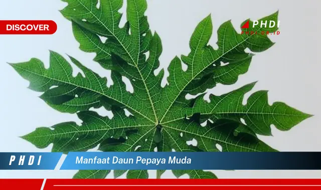 manfaat daun pepaya muda