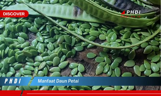 manfaat daun petai