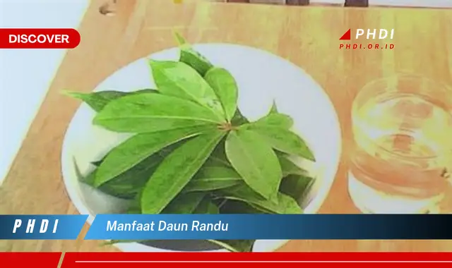 manfaat daun randu