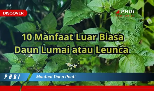 manfaat daun ranti