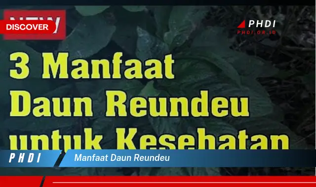 manfaat daun reundeu