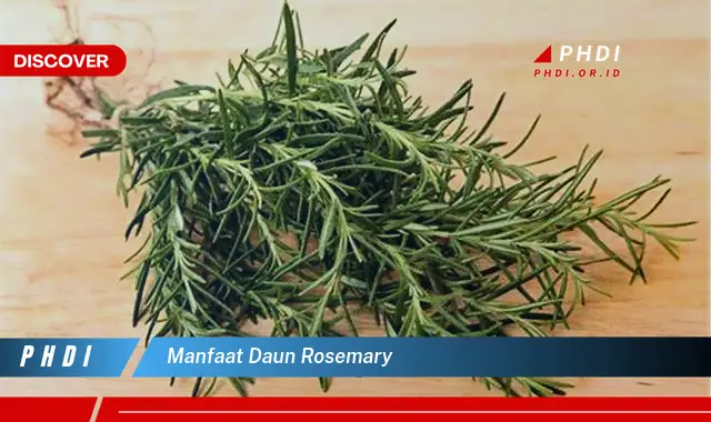 manfaat daun rosemary