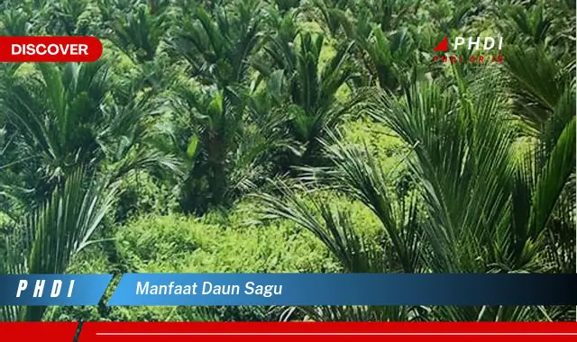 manfaat daun sagu