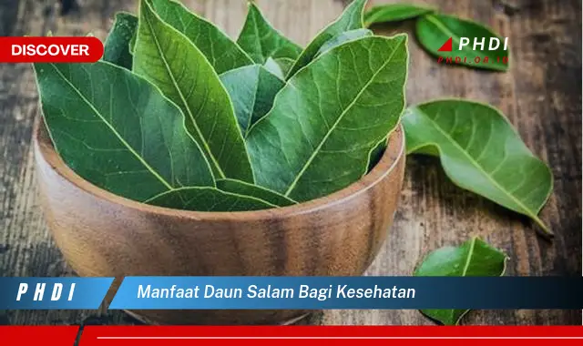 manfaat daun salam bagi kesehatan