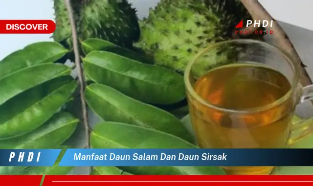 manfaat daun salam dan daun sirsak