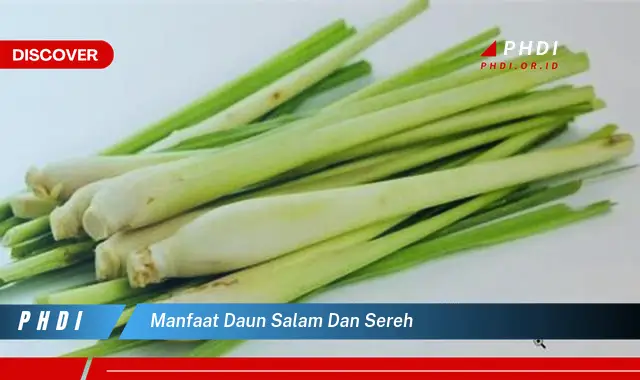 manfaat daun salam dan sereh