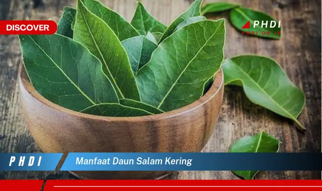 manfaat daun salam kering