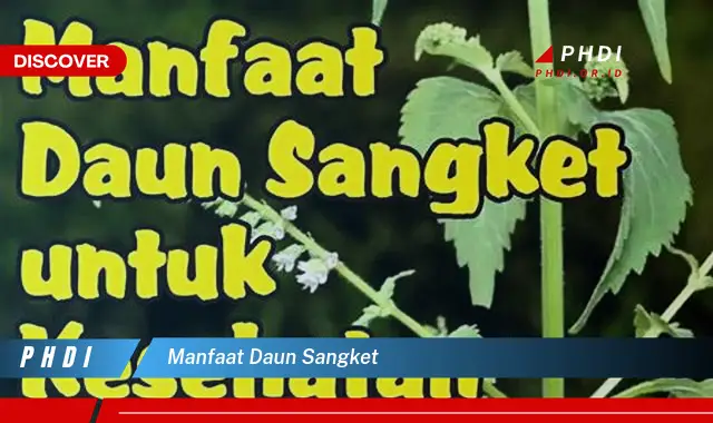 manfaat daun sangket