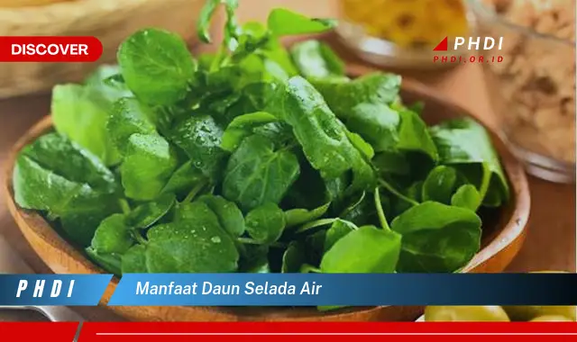 manfaat daun selada air