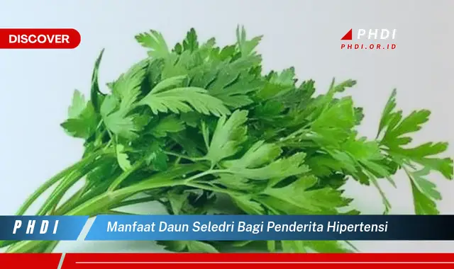 manfaat daun seledri bagi penderita hipertensi