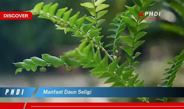 manfaat daun seligi