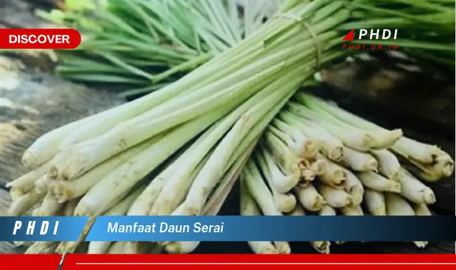 manfaat daun serai