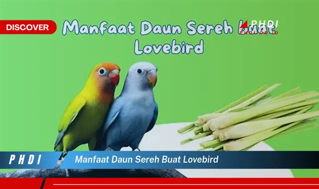 manfaat daun sereh buat lovebird