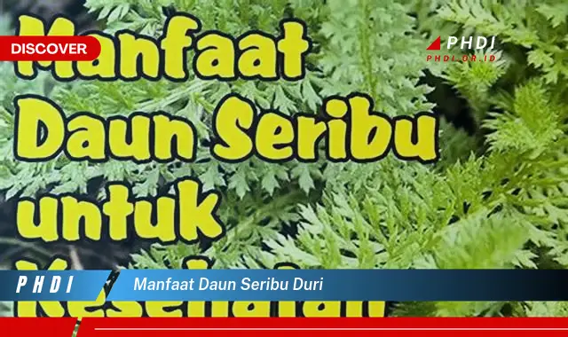 manfaat daun seribu duri