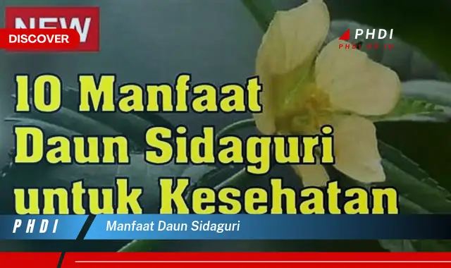 manfaat daun sidaguri