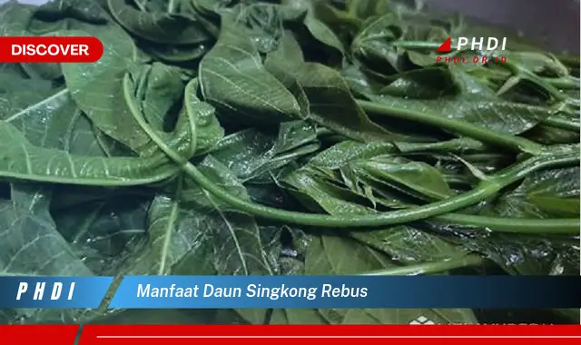 manfaat daun singkong rebus