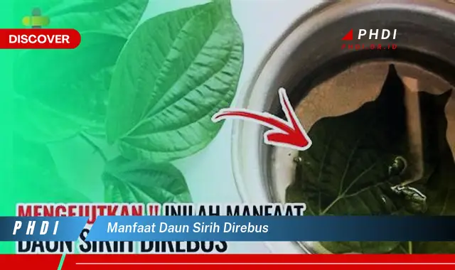 manfaat daun sirih direbus