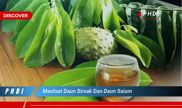 manfaat daun sirsak dan daun salam