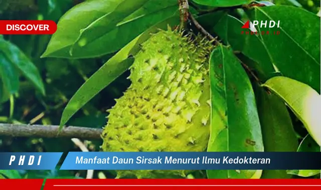 manfaat daun sirsak menurut ilmu kedokteran