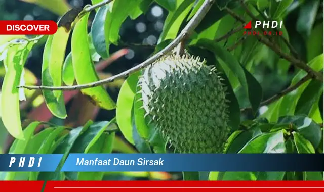 manfaat daun sirsak