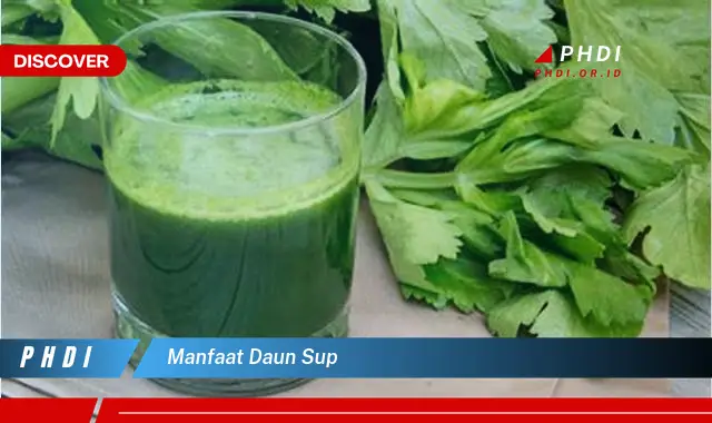 manfaat daun sup