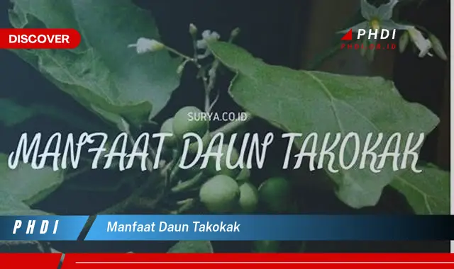 manfaat daun takokak