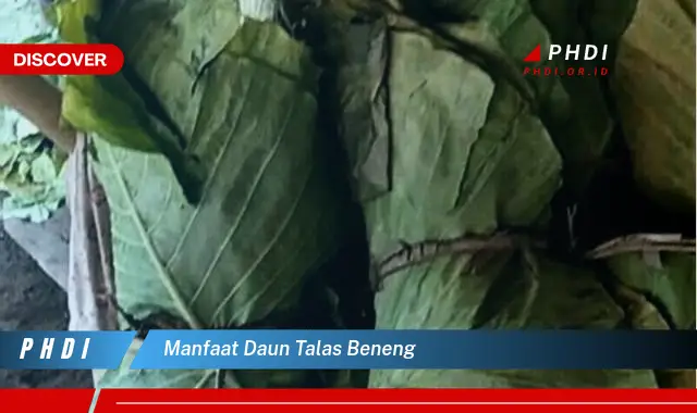 manfaat daun talas beneng