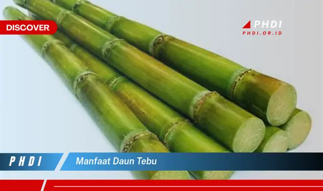 manfaat daun tebu