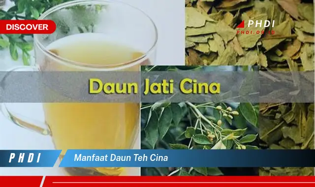 manfaat daun teh cina