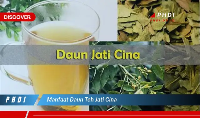 manfaat daun teh jati cina