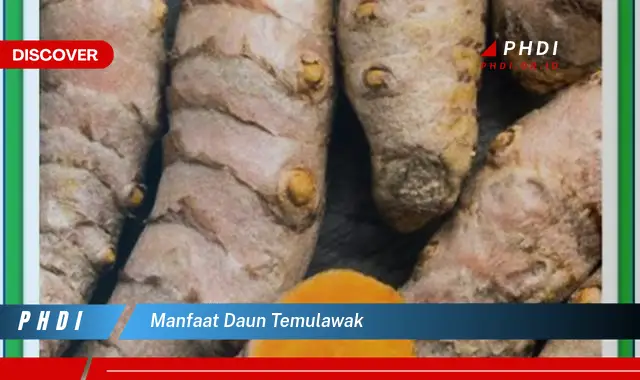 manfaat daun temulawak