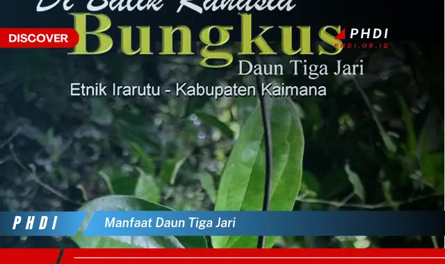 manfaat daun tiga jari