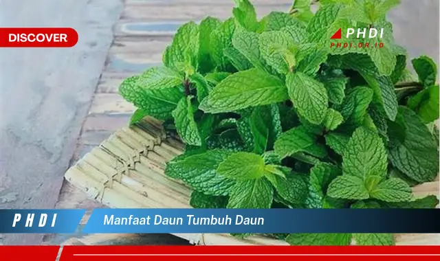 manfaat daun tumbuh daun