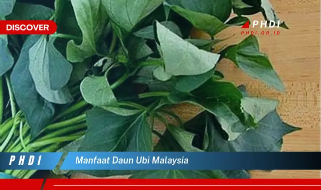 manfaat daun ubi malaysia