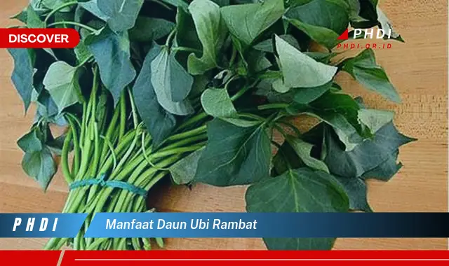 manfaat daun ubi rambat