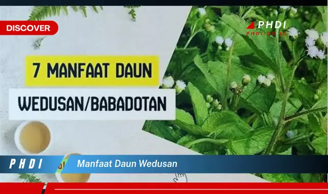 manfaat daun wedusan