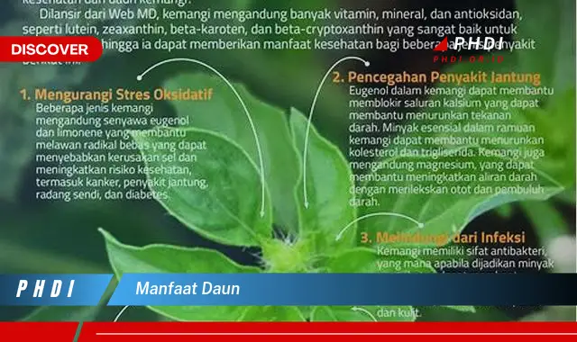 manfaat daun