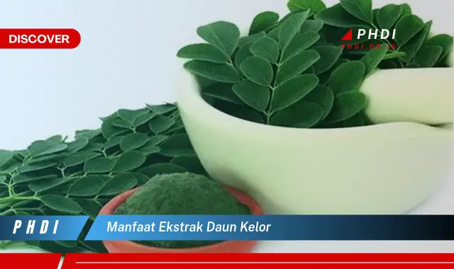 manfaat ekstrak daun kelor