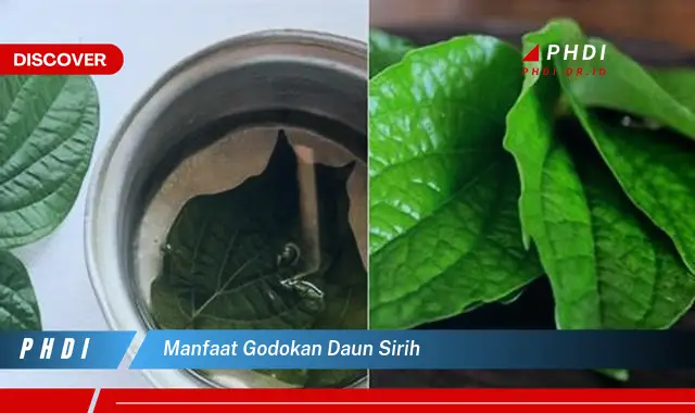 manfaat godokan daun sirih