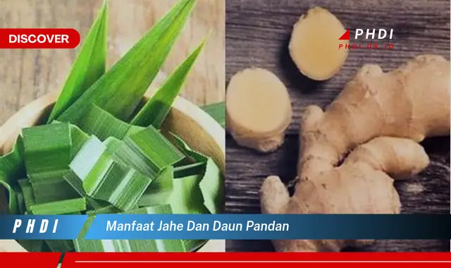 manfaat jahe dan daun pandan