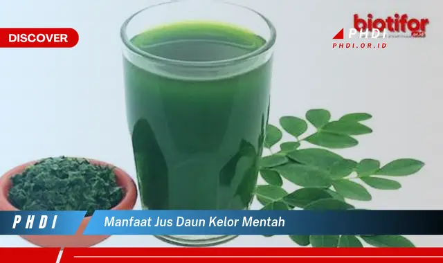 manfaat jus daun kelor mentah